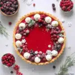 Cranberry Custard Pie Recipe