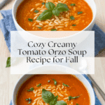Hearty Tomato Orzo Soup Recipe