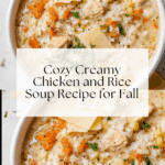 Creamy Chicken and Rice Soup Recipe