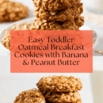 Healthy Oatmeal Toddler Breakfast Cookies Recipe