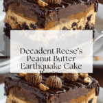 Reese’s Peanut Butter Earthquake Cake Recipe