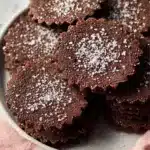 Rich Chocolate Shortbread Cookies Recipe