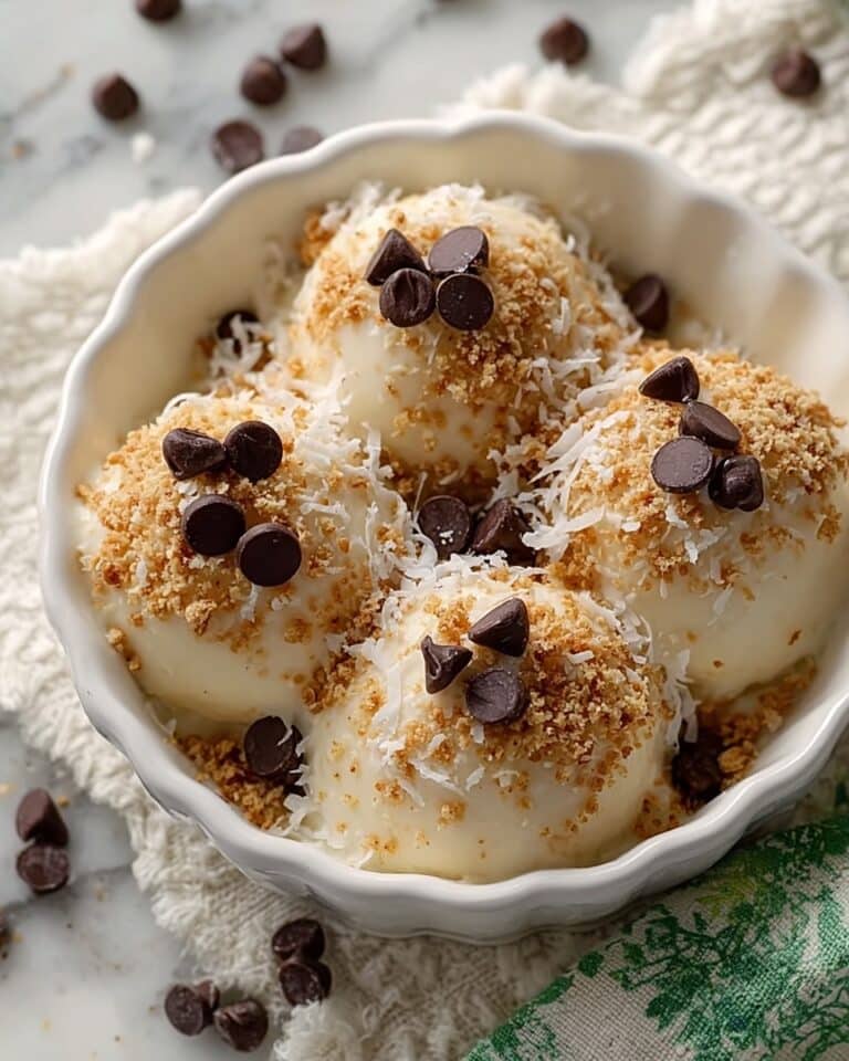 Moose Farts Coconut Chocolate Energy Bites Recipe