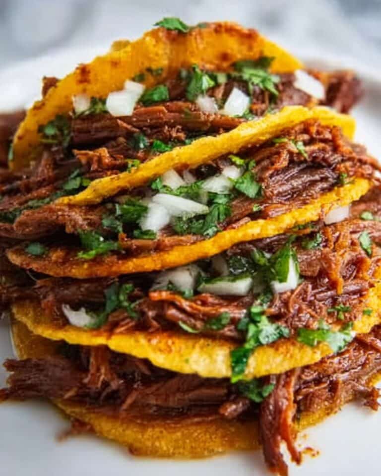 Crock Pot Birria Tacos Recipe