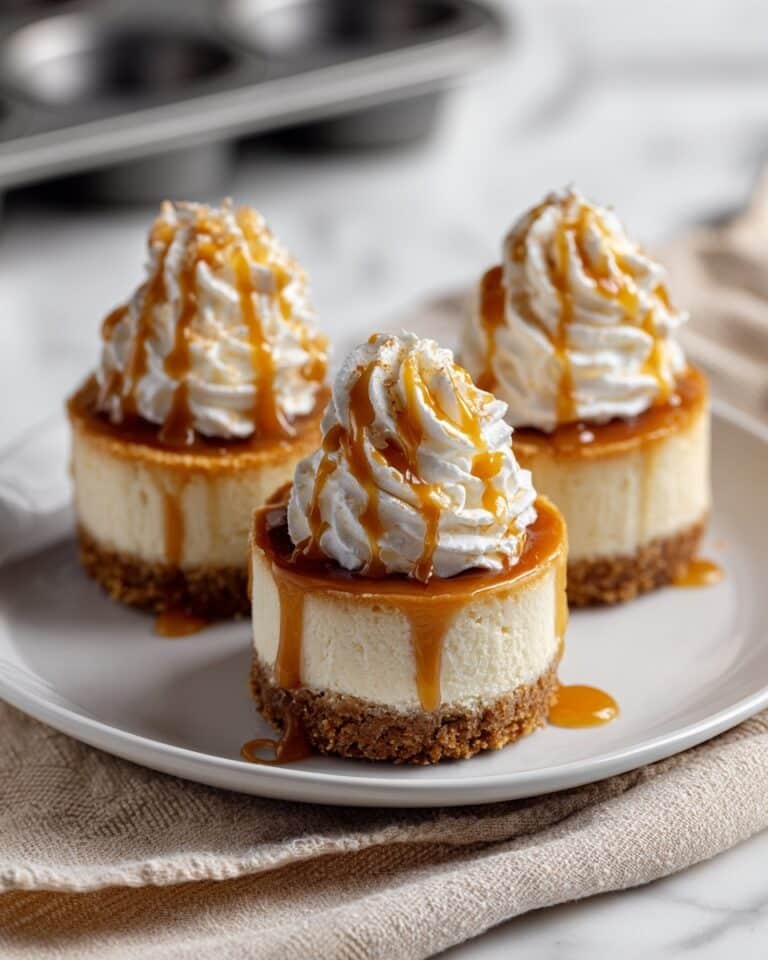 Best Mini Cheesecakes New York Style Recipe